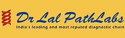 Agarwal Packers and Movers Logistics 