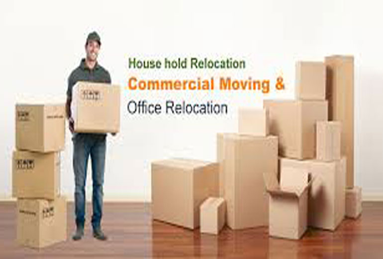 Domestic Relocation Services
